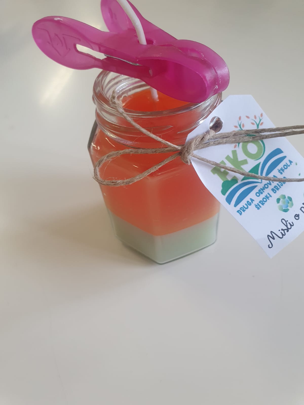 Ekološka sekcija – uređivanje škole i recikliranje♻️🌸💚🌍